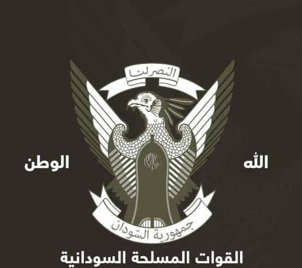 القيادة العامة تعلن تحطم طائرة  اثناء اقلاعها من مطار وادي ...