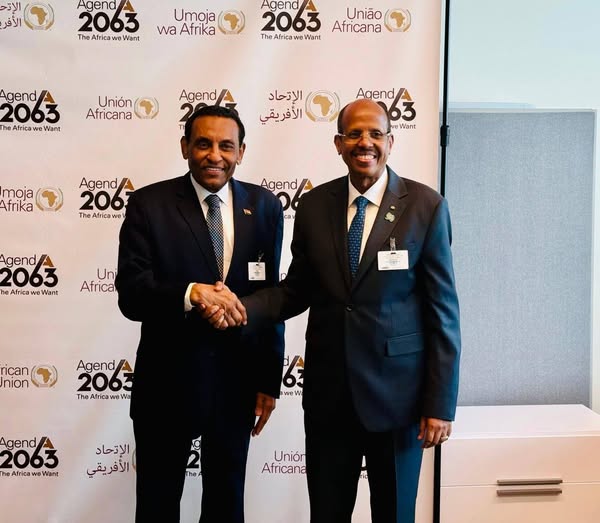 لقاء مهم بين رئيس الوزراء ورئيس مفوضية الاتحاد الإفريقي تناول ...